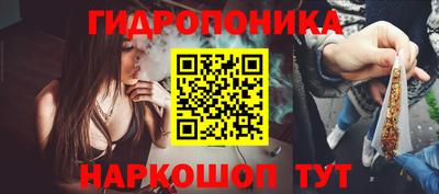 прущие грибы Обь