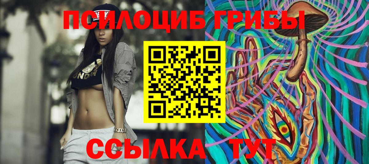 Сибай  Галлюциногенные грибы Psilocybe  Вход с VPN 