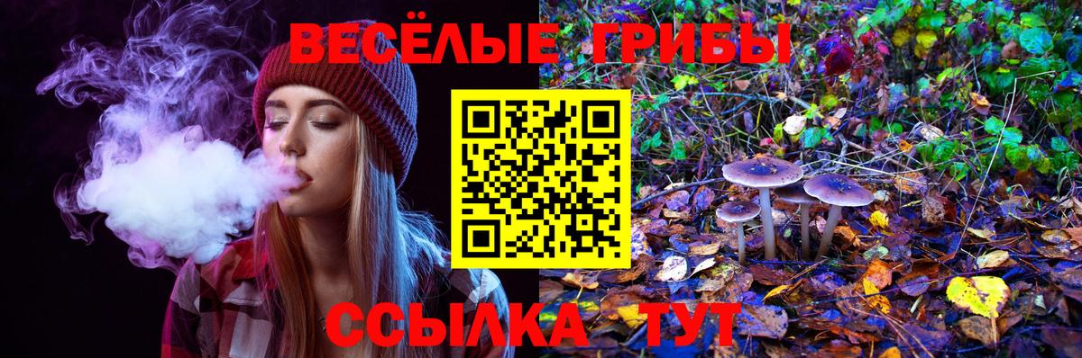 Псилоцибиновые грибы прущие грибы Сибай